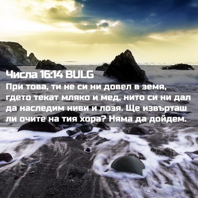 Picture 02 - Числа 16:14 BULG - При това, ти не си ни довел - Bible Verse Picture