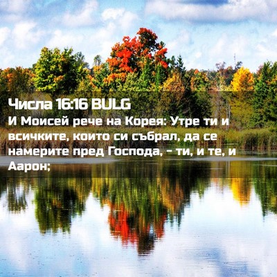 Picture 02 - Числа 16:16 BULG - И Моисей рече на Корея: - Bible Verse Picture