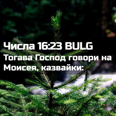 Picture 02 - Числа 16:23 BULG - Тогава Господ говори на - Bible Verse Picture