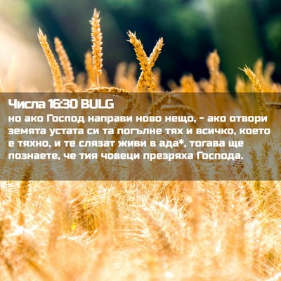 Picture 02 - Числа 16:30 BULG - но ако Господ направи ново - Bible Verse Picture