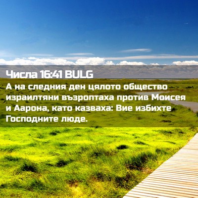 Picture 02 - Числа 16:41 BULG - А на следния ден цялото - Bible Verse Picture