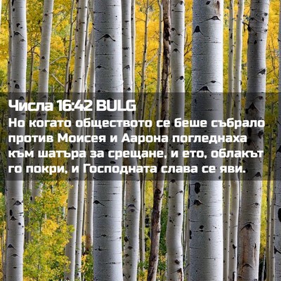 Picture 02 - Числа 16:42 BULG - Но когато обществото се - Bible Verse Picture