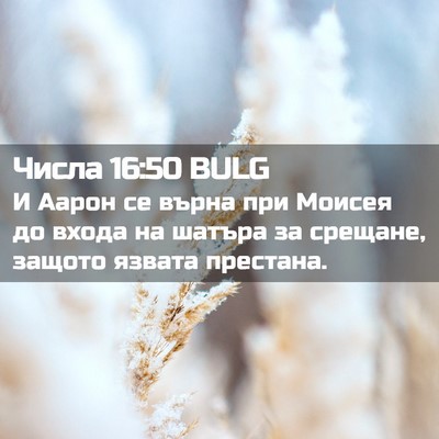 Picture 02 - Числа 16:50 BULG - И Аарон се върна при Моисея - Bible Verse Picture