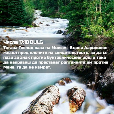 Picture 02 - Числа 17:10 BULG - Тогава Господ каза на - Bible Verse Picture