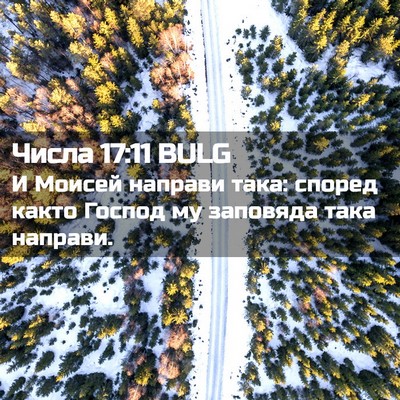 Picture 02 - Числа 17:11 BULG - И Моисей направи така: - Bible Verse Picture
