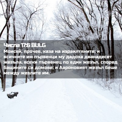 Picture 02 - Числа 17:6 BULG - Моисей, прочее, каза на - Bible Verse Picture