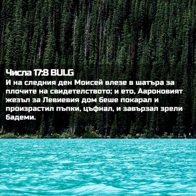 Picture 02 - Числа 17:8 BULG - И на следния ден Моисей - Bible Verse Picture