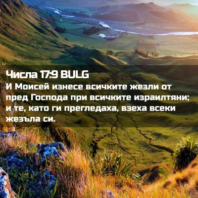 Picture 02 - Числа 17:9 BULG - И Моисей изнесе всичките - Bible Verse Picture