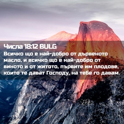 Picture 02 - Числа 18:12 BULG - Всичко що е най-добро от - Bible Verse Picture
