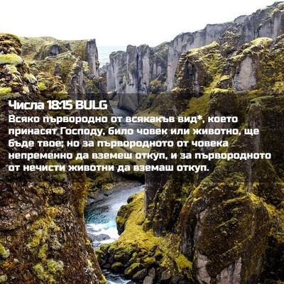 Picture 02 - Числа 18:15 BULG - Всяко първородно от - Bible Verse Picture