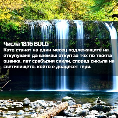 Picture 02 - Числа 18:16 BULG - Като станат на един месец - Bible Verse Picture