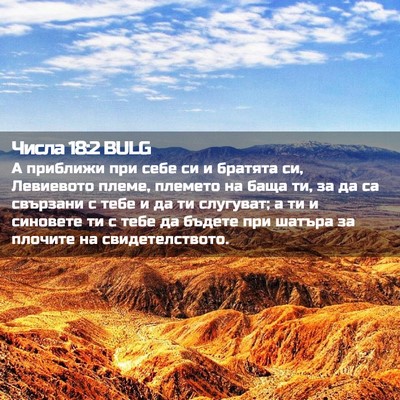 Picture 02 - Числа 18:2 BULG - А приближи при себе си и - Bible Verse Picture