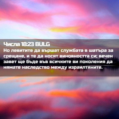 Picture 02 - Числа 18:23 BULG - Но левитите да вършат - Bible Verse Picture