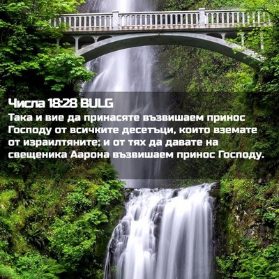 Picture 02 - Числа 18:28 BULG - Така и вие да принасяте - Bible Verse Picture