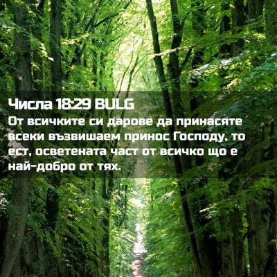 Picture 02 - Числа 18:29 BULG - От всичките си дарове да - Bible Verse Picture