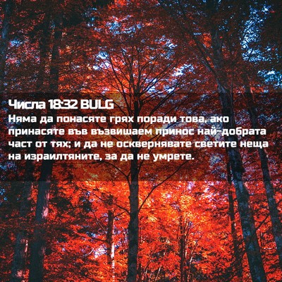 Picture 02 - Числа 18:32 BULG - Няма да понасяте грях - Bible Verse Picture