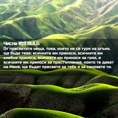 Picture 02 - Числа 18:9 BULG - От пресветите неща, това, - Bible Verse Picture