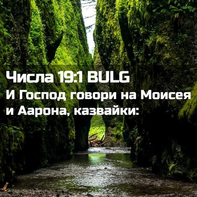 Picture 02 - Числа 19:1 BULG - И Господ говори на Моисея и - Bible Verse Picture