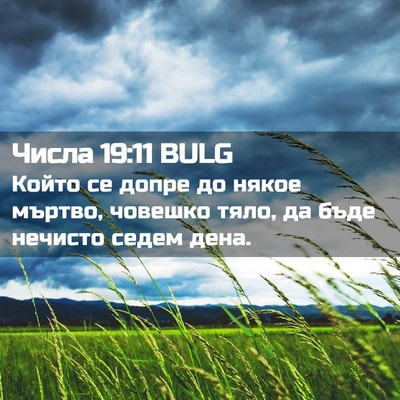 Picture 02 - Числа 19:11 BULG - Който се допре до някое - Bible Verse Picture