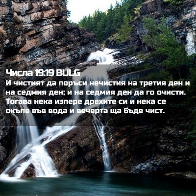 Picture 02 - Числа 19:19 BULG - И чистият да поръси - Bible Verse Picture