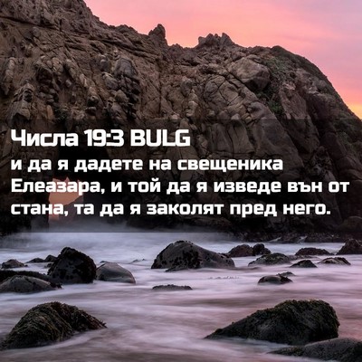 Picture 02 - Числа 19:3 BULG - и да я дадете на свещеника - Bible Verse Picture