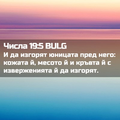 Picture 02 - Числа 19:5 BULG - И да изгорят юницата пред - Bible Verse Picture