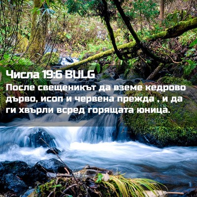 Picture 02 - Числа 19:6 BULG - После свещеникът да вземе - Bible Verse Picture