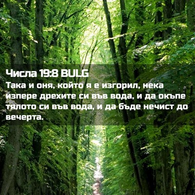 Picture 02 - Числа 19:8 BULG - Така и оня, който я е - Bible Verse Picture