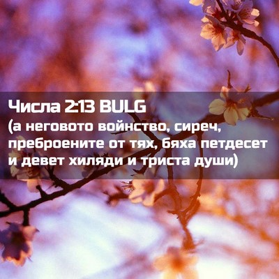 Picture 02 - Числа 2:13 BULG - (а неговото войнство, - Bible Verse Picture