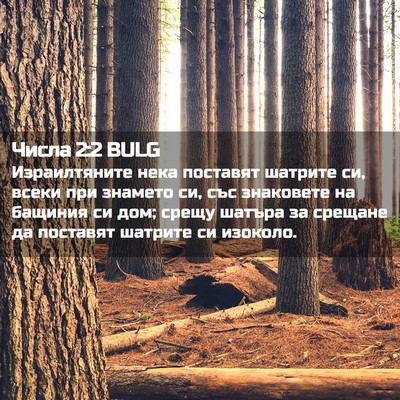 Picture 02 - Числа 2:2 BULG - Израилтяните нека - Bible Verse Picture