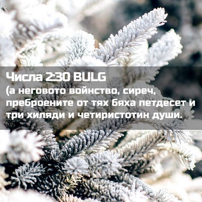 Picture 02 - Числа 2:30 BULG - (а неговото войнство, - Bible Verse Picture
