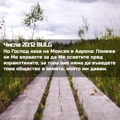 Picture 02 - Числа 20:12 BULG - Но Господ каза на Моисея и - Bible Verse Picture