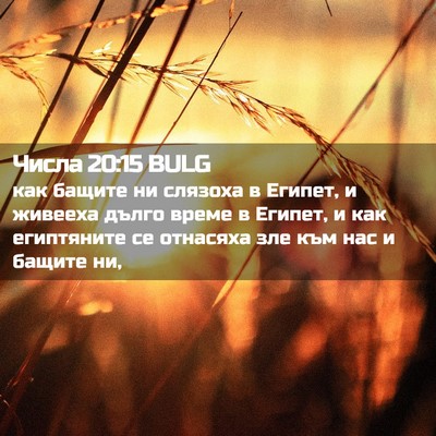 Picture 02 - Числа 20:15 BULG - как бащите ни слязоха в - Bible Verse Picture