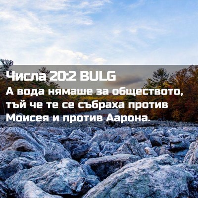 Picture 02 - Числа 20:2 BULG - А вода нямаше за - Bible Verse Picture