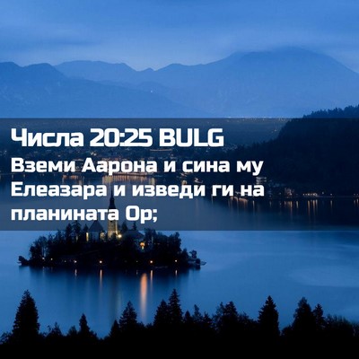 Picture 02 - Числа 20:25 BULG - Вземи Аарона и сина му - Bible Verse Picture