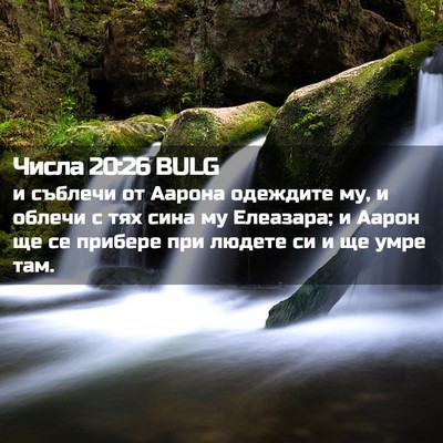 Picture 02 - Числа 20:26 BULG - и съблечи от Аарона - Bible Verse Picture