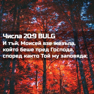 Picture 02 - Числа 20:9 BULG - И тъй, Моисей взе жезъла, - Bible Verse Picture