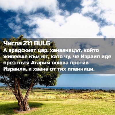 Picture 02 - Числа 21:1 BULG - А арадският цар, - Bible Verse Picture