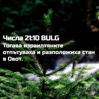 Picture 02 - Числа 21:10 BULG - Тогава израилтяните - Bible Verse Picture