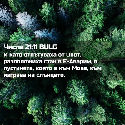 Picture 02 - Числа 21:11 BULG - И като отпътуваха от Овот, - Bible Verse Picture