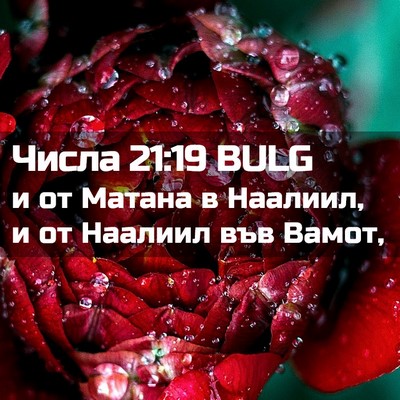 Picture 02 - Числа 21:19 BULG - и от Матана в Наалиил, и от - Bible Verse Picture