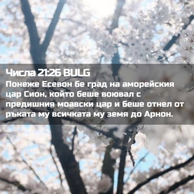 Picture 02 - Числа 21:26 BULG - Понеже Есевон бе град на - Bible Verse Picture