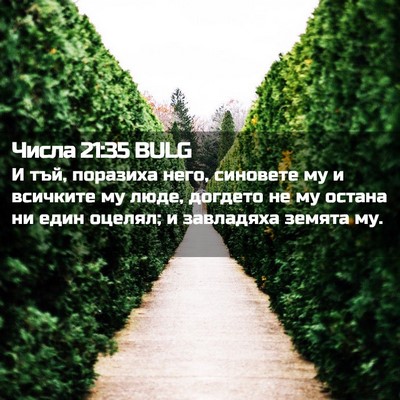 Picture 02 - Числа 21:35 BULG - И тъй, поразиха него, - Bible Verse Picture
