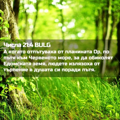 Picture 02 - Числа 21:4 BULG - А когато отпътуваха от - Bible Verse Picture