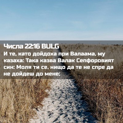 Picture 02 - Числа 22:16 BULG - И те, като дойдоха при - Bible Verse Picture