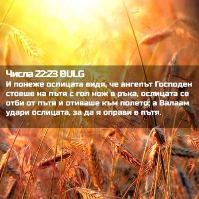Picture 02 - Числа 22:23 BULG - И понеже ослицата видя, че - Bible Verse Picture