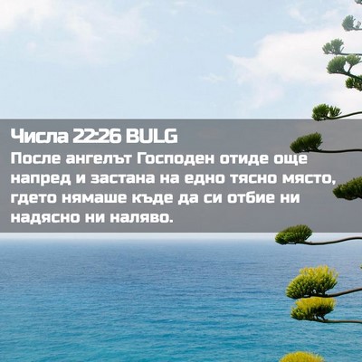 Picture 02 - Числа 22:26 BULG - После ангелът Господен - Bible Verse Picture