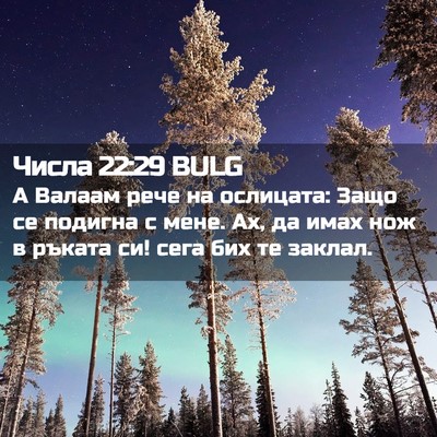 Picture 02 - Числа 22:29 BULG - А Валаам рече на ослицата: - Bible Verse Picture