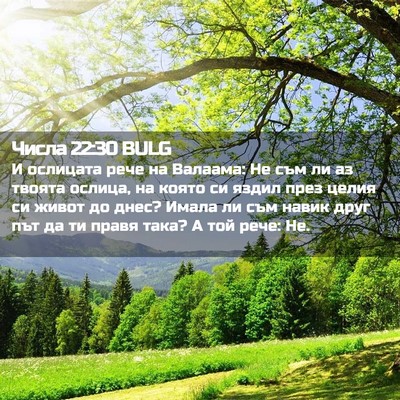 Picture 02 - Числа 22:30 BULG - И ослицата рече на Валаама: - Bible Verse Picture