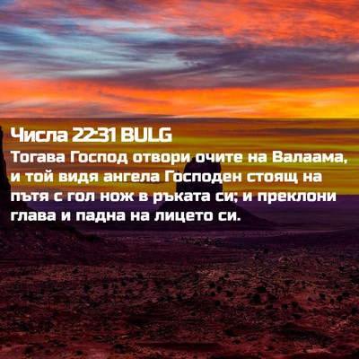 Picture 02 - Числа 22:31 BULG - Тогава Господ отвори очите - Bible Verse Picture